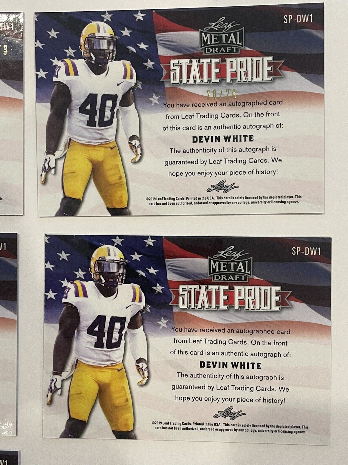 2019 Leaf Metal Draft Devin White Auto RC State Pride Wave 5of9 in Rainbow READ